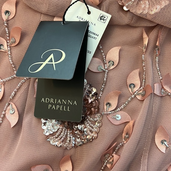 PapellAdrianna Papell Beaded Blouson Dress. - Picture 17 of 17